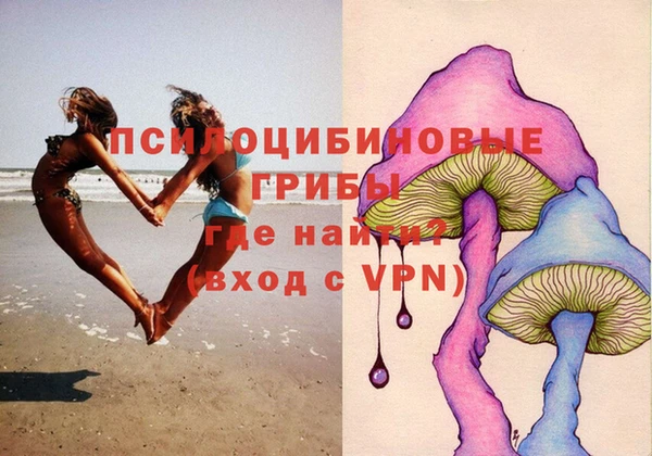 гидра Алексеевка