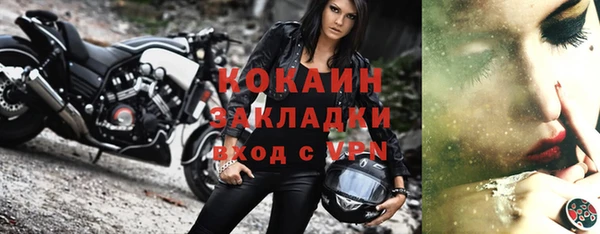 тгк Гусев