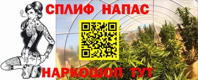 Альфа ПВП Ипатово