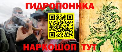 крисы Ирбит