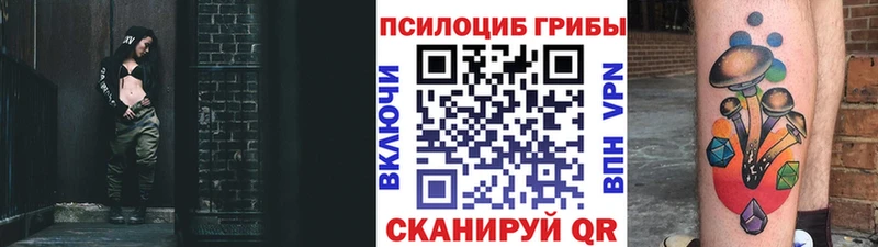 Псилоцибиновые грибы Psilocybe  ОМГ ОМГ как войти  Майкоп 